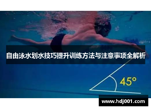 自由泳水划水技巧提升训练方法与注意事项全解析