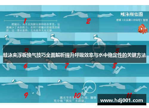 蛙泳夹浮板换气技巧全面解析提升呼吸效率与水中稳定性的关键方法
