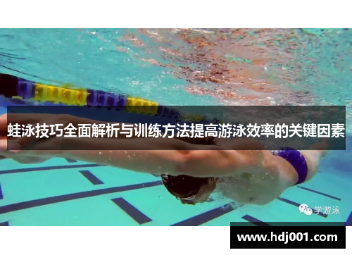 蛙泳技巧全面解析与训练方法提高游泳效率的关键因素