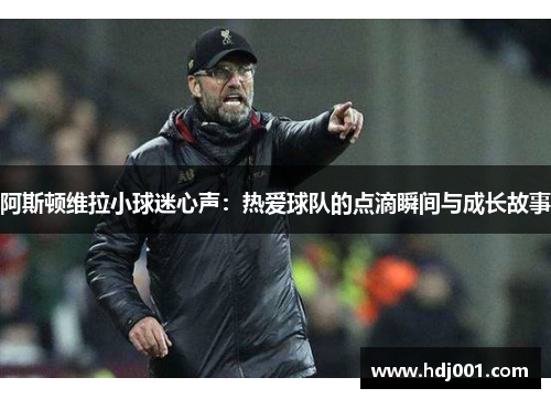 阿斯顿维拉小球迷心声：热爱球队的点滴瞬间与成长故事